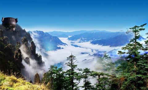 梦境中的奥秘，解析梦到很多蛇的深层含义与心理暗示