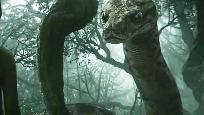 梦境探秘，与堂哥共寝，遭遇莽蛇与小蛇群