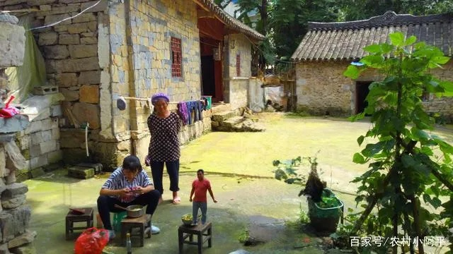 梦回旧时光，在奶奶家的老院子，与逝去的亲人共续温馨时光