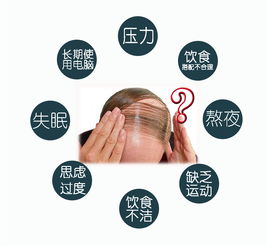梦见给别人梳我觉得很脏的头发，深层解析与心理启示
