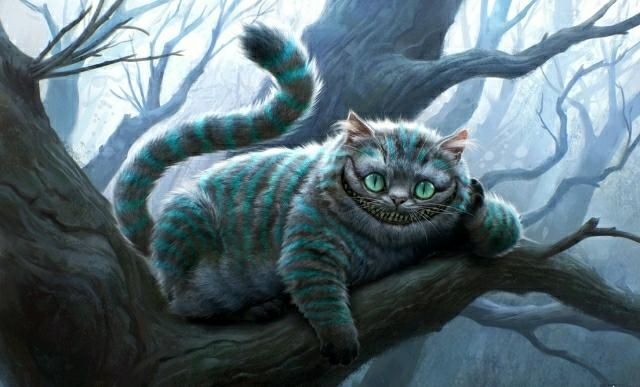 梦境交织，与母共扫旧院，宠物猫虎意外交锋的奇幻之夜