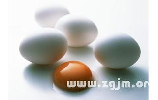 梦境解析，鸭蛋、鸡蛋与蛇的交织——一场令人惊恐的梦境