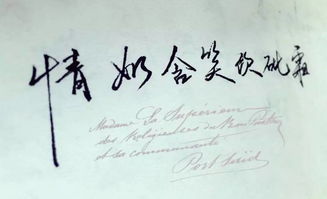 梦回初恋，情深缘浅，解析梦境中的遗憾与醒来后的情感释放