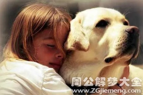梦到亲人被狗咬，梦境背后的深层含义与心理解析