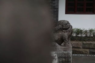 梦境探秘，梦见上房顶又下来，遇见神秘男子背后的深层含义