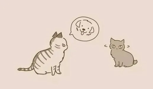 梦见自己的猫被怪物吃了内脏，探索梦境背后的深层含义