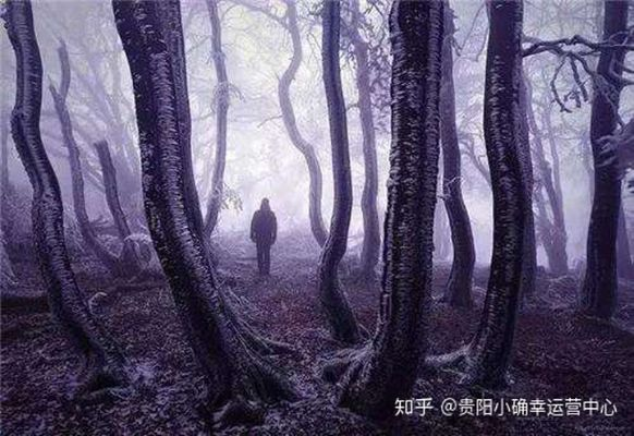 梦境中的冥界使者，鬼队与棺材的深层含义