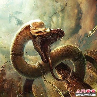 昨晚梦到蛇了，今天有啥好兆头吗？解读梦境中的神秘符号