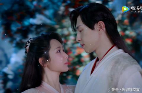 梦境探秘，在茂密葡萄叶下，摘取生活的甜蜜与希望