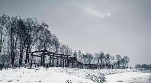 梦境交织，车祸、雪景与亲情——解读梦境中的情感与象征