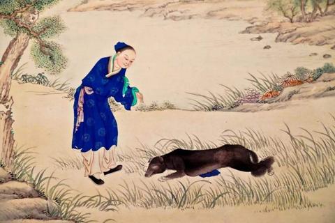 周公解梦大全查询，狗咬手之梦的意义与解析