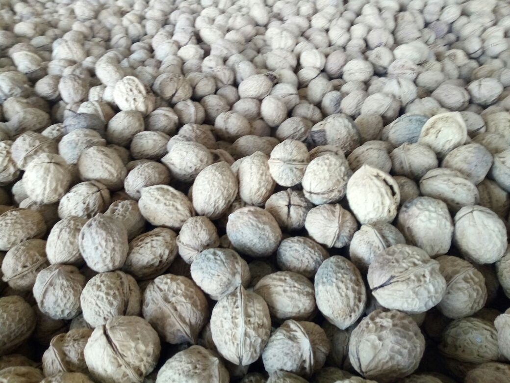 梦见吃核桃但咬不动，探索梦境背后的深层含义
