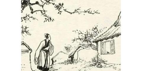 解梦，梦见妈妈背着已逝之人，探寻梦境背后的深层含义