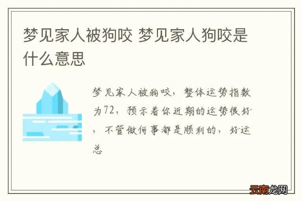 梦境解析，梦到别人脸被狗咬掉一条皮
