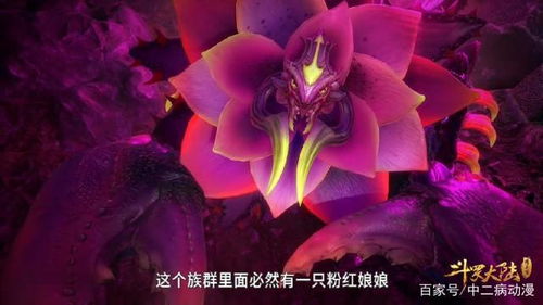 梦境中的善意与收获，解析梦见别人家做好事，自己抢了好多红鸡蛋的寓意