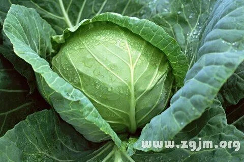 周公解梦，姐姐吃绿色蔬菜的深层寓意与启示