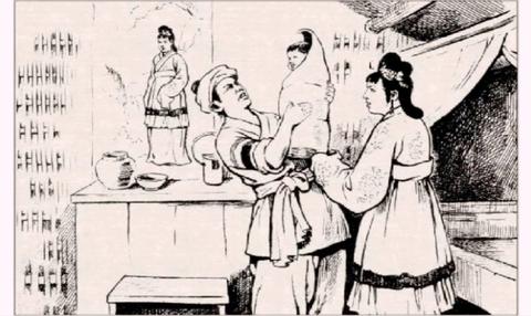 梦见鹦鹉和猫头鹰飞进屋子里，梦境的深层解析与启示