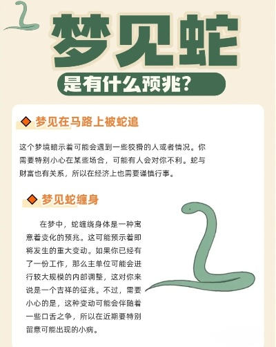 梦境解析，大蟒蛇追逐与工作人员介入的深层含义