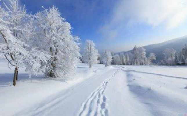 梦见大雪纷飞，预示未来变化与心灵净化的神秘符号