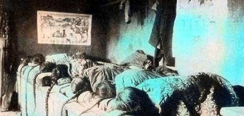 梦境解析，狗跃床榻，寓意何在？