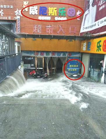 梦见大水干了光剩下鱼儿，一场关于生命循环与转变的梦境解析