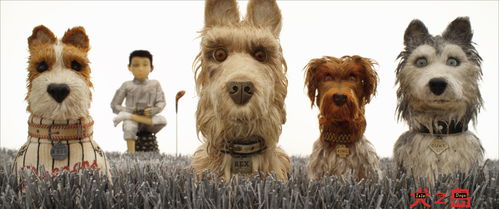 梦境的奇妙交织，解读牛头犬与马头犬的寓意