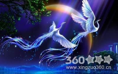 梦见凤凰与老虎，梦境中的神秘交织与心灵启示