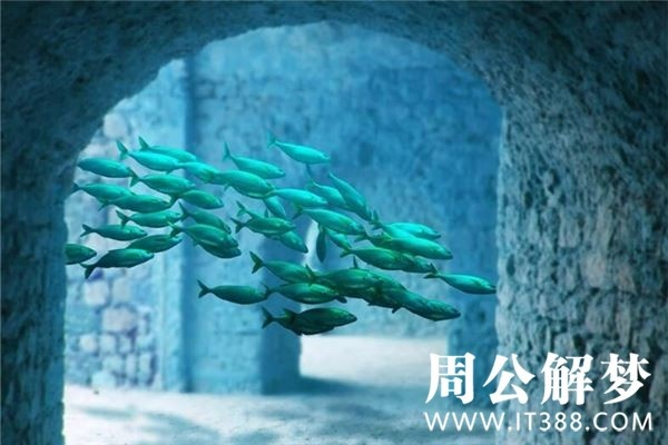 梦境探秘，为何频繁梦见学校壕沟中的奇异吓人鱼？