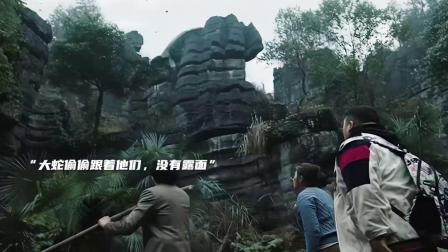 孕妇梦境解析，大蛇与小蛇的象征意义及心理暗示