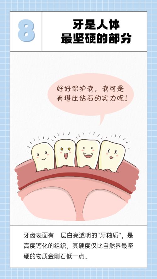 梦境与身体信号，解析梦见一堆老鼠与偶尔肚子揪的疼一下的奥秘