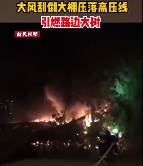 梦境启示，大风吹门、鸡欲入而全亡的深层寓意