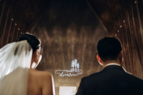 梦境中的仓促誓言，我如何在众怒难犯之下，一夜之间步入婚姻殿堂