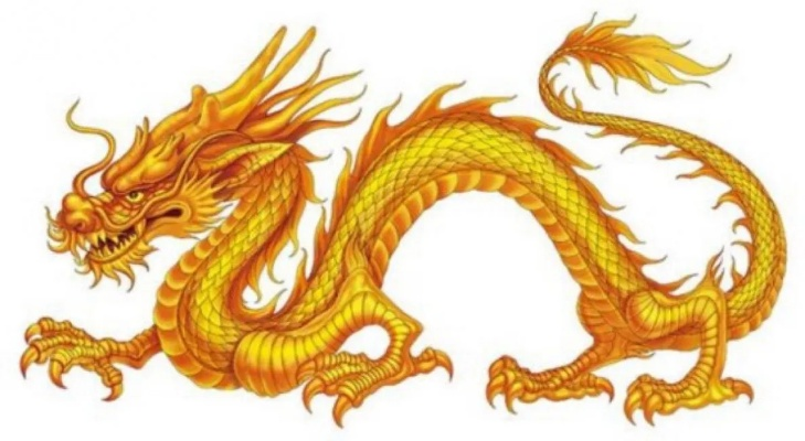 怀孕梦见两条龙缠腰，寓意与解析