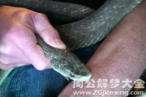 做梦梦到被蛇咬了，怀孕后为何频繁做梦？原因与应对方法详解