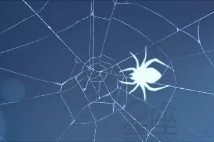 梦见打蜘蛛，探索梦境中的勇气与自我挑战