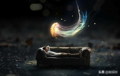 梦境奇观，死鱼复生之谜——探索梦到死鱼变活的深层含义