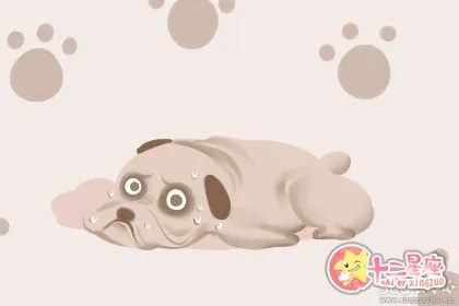 梦到自己家里的狗死了，解读梦境背后的深层含义与心理启示