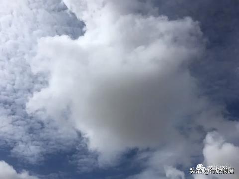梦境解析，飞行与坠落的双重挑战——昨晚我梦到自己开飞机坠毁在高楼之上