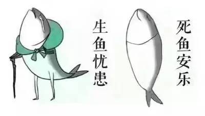 梦见死鱼，预兆与解析的深层解读