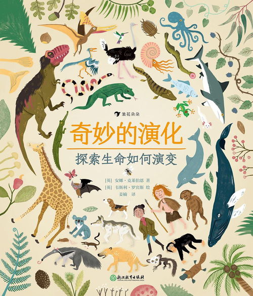 孕妇梦境中的奇妙之旅，稻田埂上的小孩与心灵深处的启示