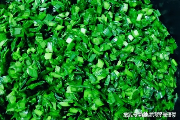 梦见韭菜何解包成了韭菜馅饺子，探寻梦境中的深层寓意