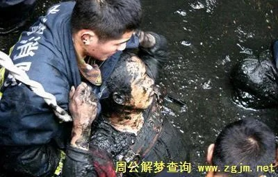 梦见自己掉进粪坑被别人拉上来，寓意与心理解析