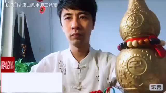 梦见蟑螂，潜意识的警示与内心焦虑的映射