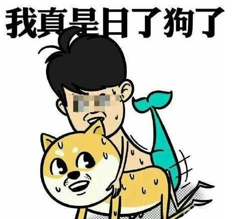 梦境解析，梦见下雨时出现的神秘之狗