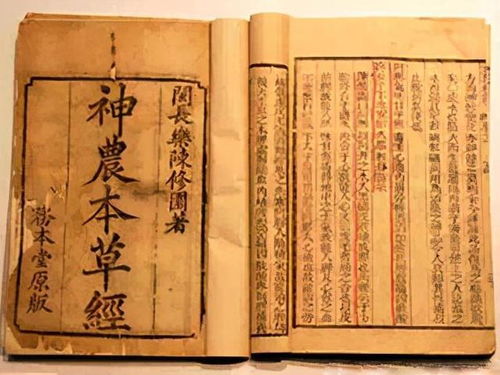 梦见上牙掉了在此说破，家人身体健康，大吉大利，万事如意，阿弥陀佛