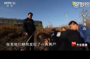 梦境启示，梦见街上到处是死人都在裹尸的深层解析