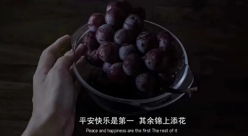 梦境解析，梦到吃白瓜籽的象征意义与深层含义