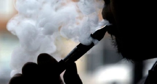 梦见鲨鱼扑向自己，探索梦境背后的深层含义与心理解析