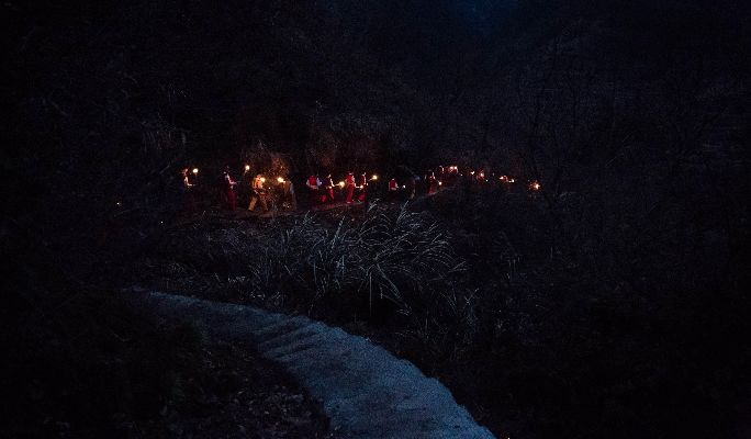 梦境探秘，山区菜市场的不眠之夜与猪头之谜