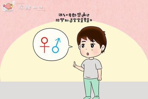 梦见上厕所就尿床，一个月尿床两次的梦境解析